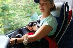 CYKLO-SUMAVA-1.7.-6.7.-2025-2691-ve-velke-velikosti