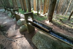 CYKLO-SUMAVA-1.7.-6.7.-2025-2791-ve-velke-velikosti