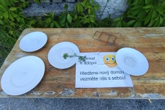 CYKLO-SUMAVA-1.7.-6.7.-2025-3230-ve-velke-velikosti