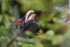 CYKLO-SUMAVA-1.7.-6.7.-2025-3276-ve-velke-velikosti