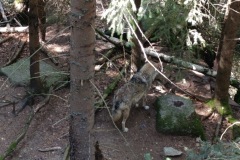 CYKLO-SUMAVA-1.7.-6.7.-2025-3454-ve-velke-velikosti