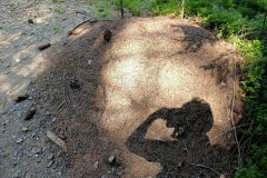 CYKLO-SUMAVA-1.7.-6.7.-2025-3471-ve-velke-velikosti