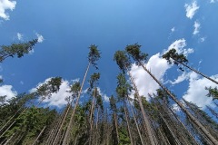 CYKLO-SUMAVA-1.7.-6.7.-2025-3587-ve-velke-velikosti