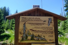 CYKLO-SUMAVA-1.7.-6.7.-2025-385-ve-velke-velikosti