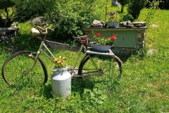 CYKLO-SUMAVA-1.7.-6.7.-2025-416-ve-velke-velikosti