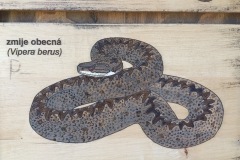 CYKLO-SUMAVA-1.7.-6.7.-2025-569-ve-velke-velikosti