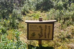 CYKLO-SUMAVA-1.7.-6.7.-2025-582-ve-velke-velikosti