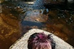 CYKLO-SUMAVA-1.7.-6.7.-2025-647-ve-velke-velikosti