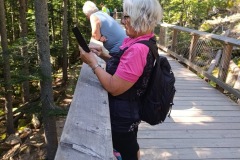 CYKLO-SUMAVA-1.7.-6.7.-2025-803-ve-velke-velikosti