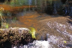 CYKLO-SUMAVA-1.7.-6.7.-2025-869-ve-velke-velikosti