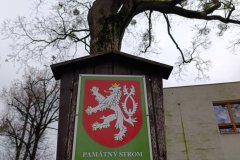 53.-rocnik-Za-poslednim-puchyrem14.-17.-11.-2025-Hlucinsko-317