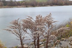 53.-rocnik-Za-poslednim-puchyrem14.-17.-11.-2025-Hlucinsko-568