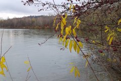 53.-rocnik-Za-poslednim-puchyrem14.-17.-11.-2025-Hlucinsko-594