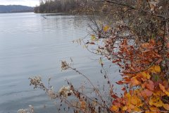 53.-rocnik-Za-poslednim-puchyrem14.-17.-11.-2025-Hlucinsko-604