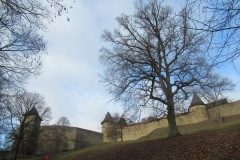 IMG_3286-ve-velke-velikosti