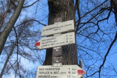 IMG_3403-ve-velke-velikosti